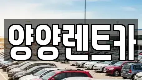 강원특별자치도 양양군 서면 렌트카 전문 양양렌트카