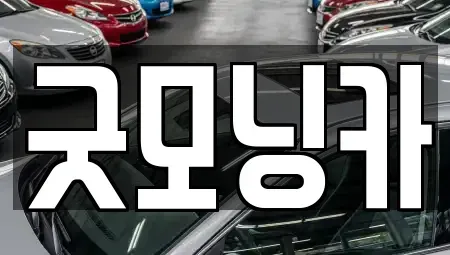 강원특별자치도 춘천시 중앙로2가 중고차 전문 굿모닝카