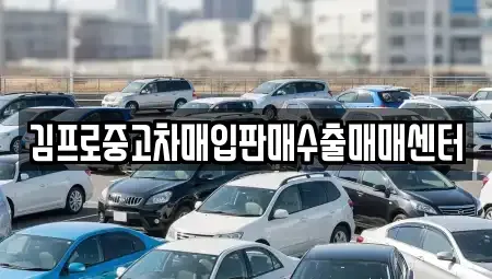 강원특별자치도 춘천시 중앙로2가 중고차 전문 김프로중고차매입판매수출매매센터