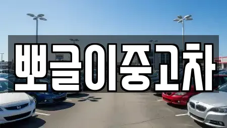 강원특별자치도 태백시 상사미동 중고차 전문 뽀글이중고차