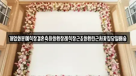 개업화분예식장결혼축하화환장례식장근조화환란근처꽃집당일배송