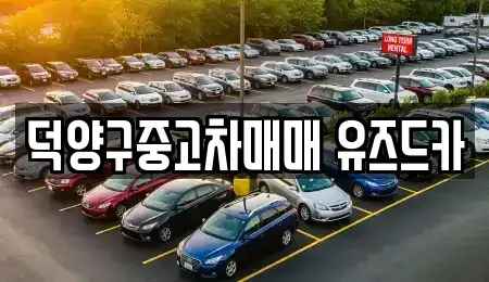 경기 고양시 덕양구 화정동 중고차매매 전문 덕양구중고차매매 유즈드카