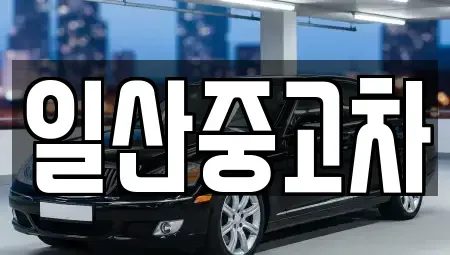 경기 고양시 덕양구 화정동 중고차매매 전문 일산중고차
