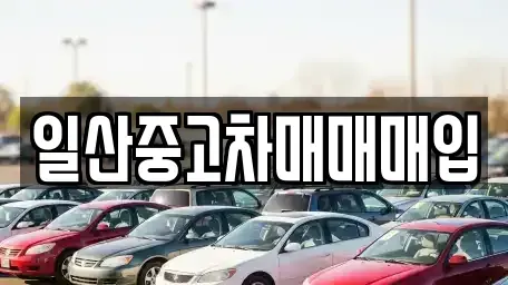 경기 고양시 덕양구 화정동 중고차매입 전문 일산중고차매매매입