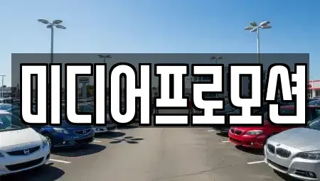 경기 고양시 일산동구 정발산동 장기렌트카 전문 미디어프로모션
