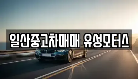 경기 고양시 일산동구 정발산동 중고차 전문 일산중고차매매 유성모터스