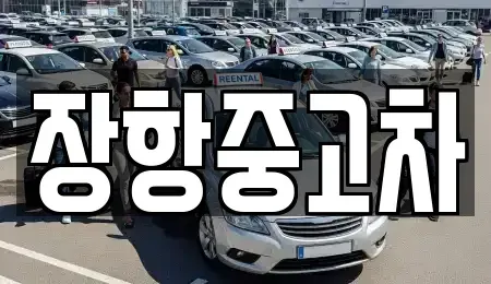 경기 고양시 일산동구 정발산동 중고차 전문 장항중고차