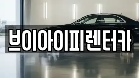 경기 고양시 일산동구 풍동 렌트카 전문 브이아이피렌터카