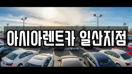 경기 고양시 일산동구 풍동 렌트카 전문 아시아렌트카 일산지점
