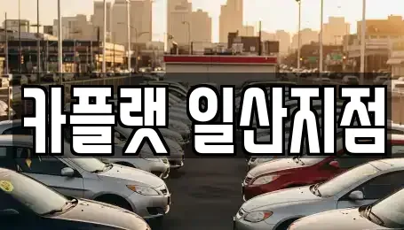 경기 고양시 일산동구 풍동 렌트카 전문 카플랫 일산지점