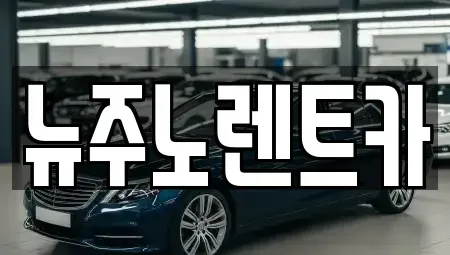 경기 고양시 일산동구 풍동 장기렌트카 전문 뉴주노렌트카