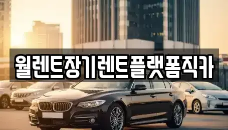 경기 고양시 일산동구 풍동 장기렌트카 전문 월렌트장기렌트플랫폼직카