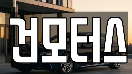 경기 고양시 일산동구 풍동 중고차 전문 건모터스