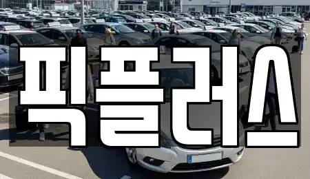 경기 고양시 일산동구 풍동 중고차 전문 픽플러스