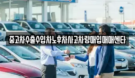 경기 고양시 일산동구 풍동 중고차매입 전문 중고차수출수입차노후차사고차량매입매매센타
