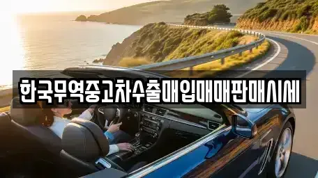 경기 고양시 일산동구 풍동 중고차매입 전문 한국무역중고차수출매입매매판매시세