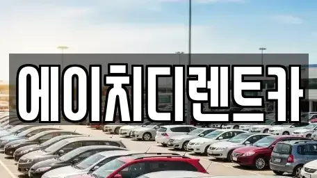 경기 과천시 주암동 렌트카 전문 에이치디렌트카