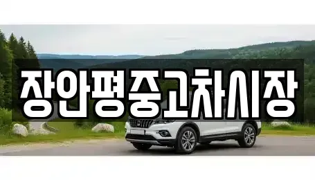 경기 과천시 주암동 중고차 전문 장안평중고차시장