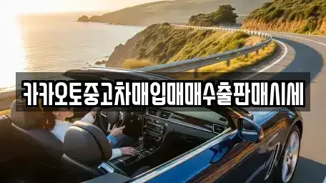경기 과천시 주암동 중고차매입 전문 카카오토중고차매입매매수출판매시세
