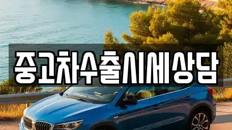 경기 광주시 경안동 중고차 전문 중고차수출시세상담