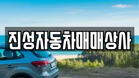 경기 성남시 중원구 중고차 전문 진성자동차매매상사