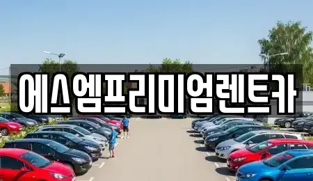 경기 수원시 권선구 오목천동 장기렌트카 전문 에스엠프리미엄렌트카