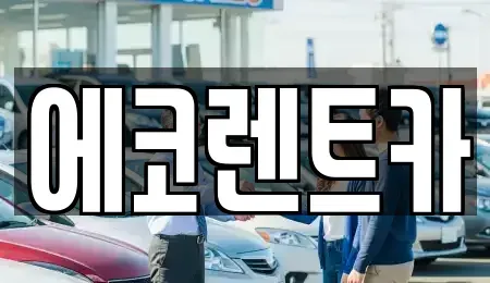 경기 수원시 권선구 오목천동 장기렌트카 전문 에코렌트카