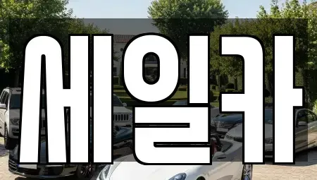 경기 수원시 권선구 오목천동 중고차 전문 세일카