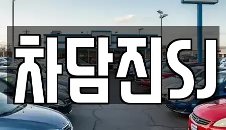 경기 수원시 권선구 오목천동 중고차 전문 차담진SJ