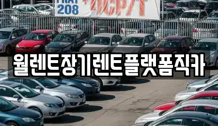 경기 수원시 장안구 조원동 장기렌트카 전문 월렌트장기렌트플랫폼직카