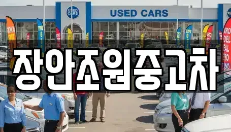 경기 수원시 장안구 조원동 중고차 전문 장안조원중고차
