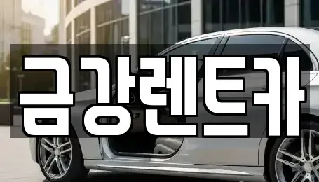 경기 수원시 팔달구 우만동 렌트카 전문 금강렌트카