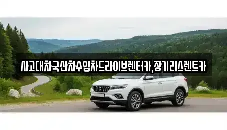 경기 시흥시 조남동 렌트카 전문 사고대차국산차수입차드라이브렌터카,장기리스렌트카