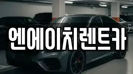 경기 시흥시 조남동 렌트카 전문 엔에이치렌트카