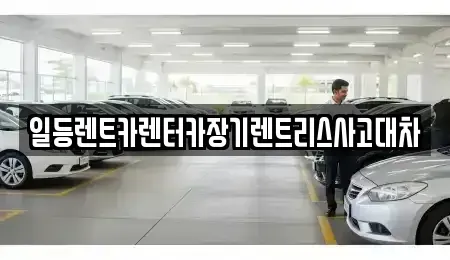 경기 시흥시 조남동 렌트카 전문 일등렌트카렌터카장기렌트리스사고대차