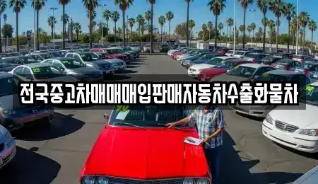 경기 시흥시 조남동 중고차 전문 전국중고차매매매입판매자동차수출화물차