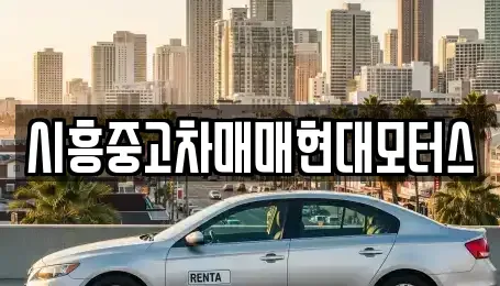 경기 시흥시 조남동 중고차매매 전문 시흥중고차매매현대모터스