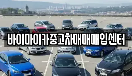 경기 시흥시 조남동 중고차매입 전문 바이마이카중고차매매매입센터