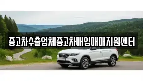 경기 시흥시 조남동 중고차매입 전문 중고차수출업체중고차매입매매지원센터