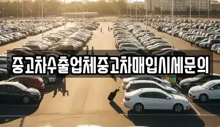 경기 시흥시 조남동 중고차매입 전문 중고차수출업체중고차매입시세문의