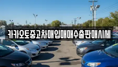 경기 시흥시 조남동 중고차매입 전문 카카오토중고차매입매매수출판매시세