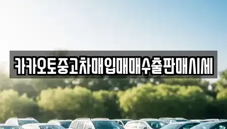 경기 시흥시 조남동 중고차매입 전문 카카오토중고차매입매매수출판매시세
