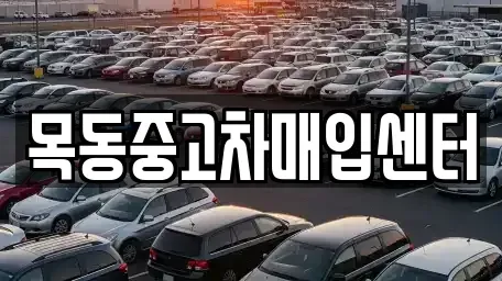 경기 안산시 단원구 선부동 중고차매입 전문 목동중고차매입센터