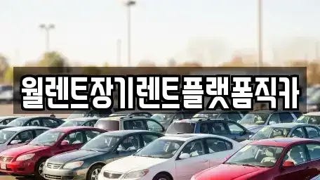 경기 안성시 숭인동 렌트카,단기렌트카,장기렌트카,중고차,중고차매매,중고차매입