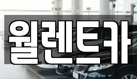 경기 안성시 숭인동 렌트카 전문 월렌트카