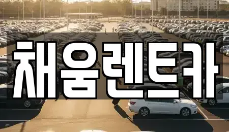 경기 용인시 기흥구 서천동 렌트카 전문 채움렌트카