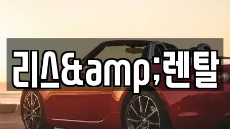 경기 용인시 기흥구 서천동 장기렌트카 전문 리스&렌탈