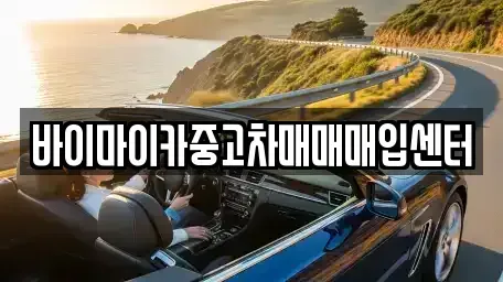 경기 용인시 기흥구 서천동 중고차 전문 바이마이카중고차매매매입센터