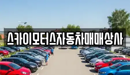 경기 용인시 기흥구 서천동 중고차,렌트카,중고차매입,중고차매매,장기렌트카,단기렌트카