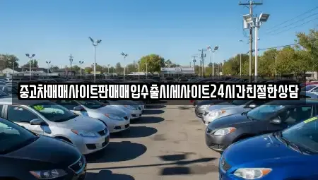 경기 용인시 기흥구 서천동 중고차 전문 중고차매매사이트판매매입수출시세사이트24시간친절한상담
